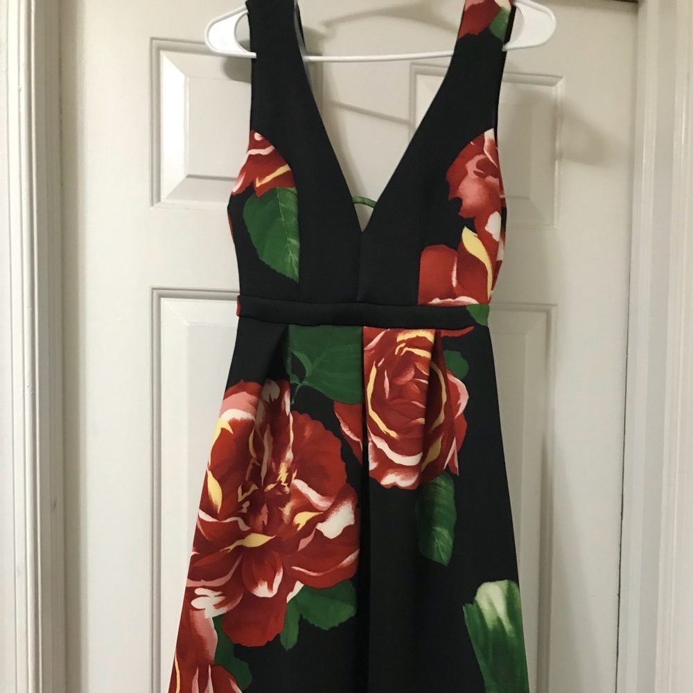 Black and rose VNeck dress.